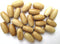 Genuine Hairpipe Bone; Teastained/Antiqued; Size Half Inch, 50 pcs Hair Pipe Choker Beads...