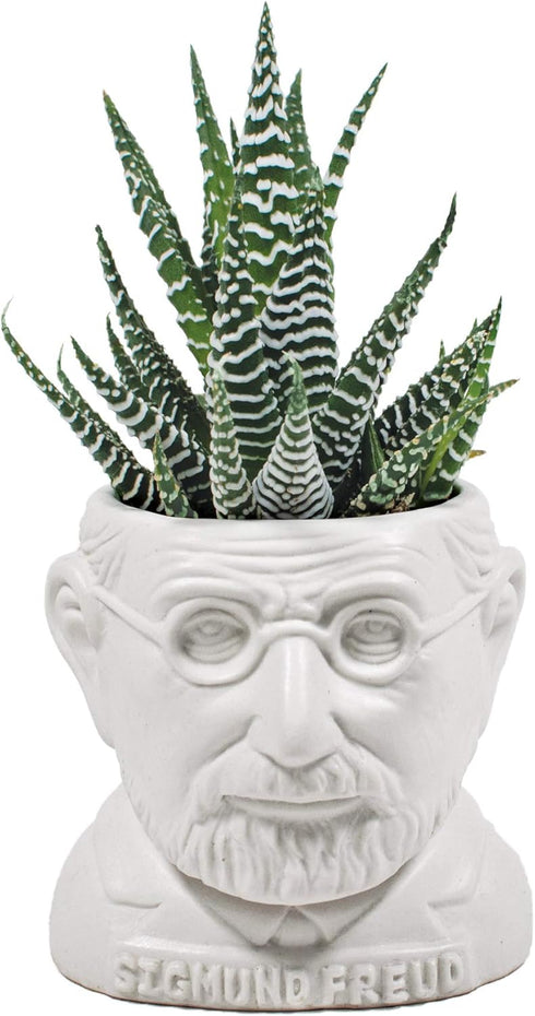 The Unemployed Philosophers Guild Sigmund Freud Bust Ceramic Planter...