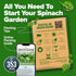 HOME GROWN Bloomsdale Spinach Seeds Pack – 352 High Germination Non-GMO Heirloom Spinach Seeds for Planting – Herb Seeds for Hydroponic and Garden...