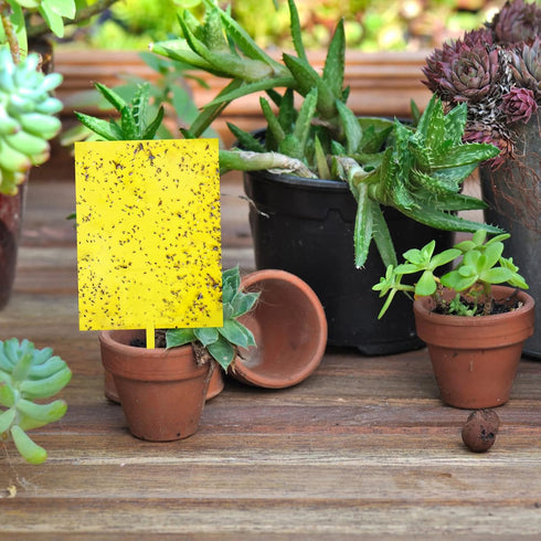 20-Pack Dual-Sided Yellow Sticky Traps for Flying Plant Insect Such as Fungus Gnats, Whiteflies, Aphids, Leafminers, etc (6x8 Inches, Included 20p...