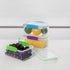 Sistema Food Storage, Polypropylene Assorted, 1L x 3...
