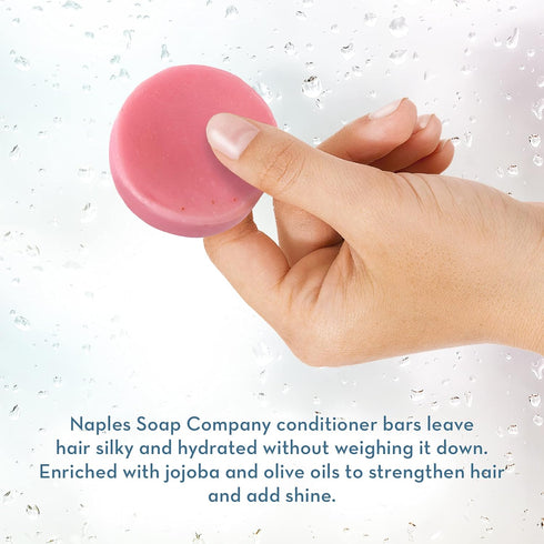 Naples Soap Company, Protein Enriched, 50-75 Use, Solid Hair Conditioner Bar, Eco-Friendly Haircare, Helps Ensure Vibrant, Healthy Hair, All Hair ...