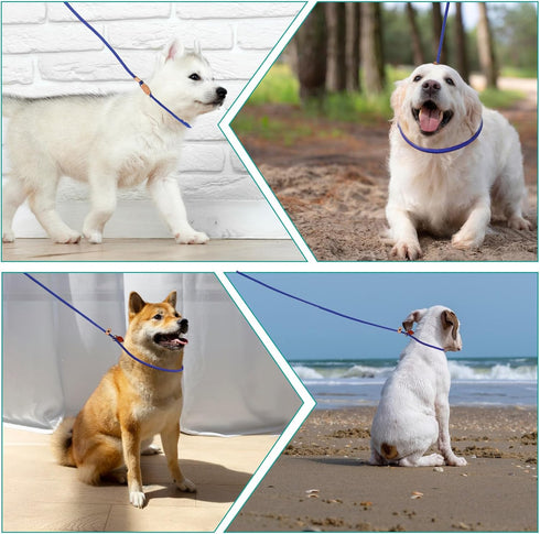 5 Ft Puppy Dog Leash Slip Leads for Small Dogs, Slip Leash for Puppy Training, No Pull Control Leash for Small Dogs Pet Leash Rope for Small Mediu...