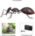 Tooarts Metal Yard Art Ant Garden Decor Indoor Outdoor Insect Tree Porch Patio Sculpture Black...