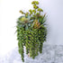 Supla 4 pcs Artificial Hanging Succulents Faux Burro's Tail Picks Trailing String of Pearls Succulent Greenery Sprays 13.4" L for Basket Planter C...