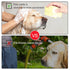 Bath Brush Silicone, Massage Soft Brush Dog Cats, Pet Massage Brush Bubble Brush Yellow...