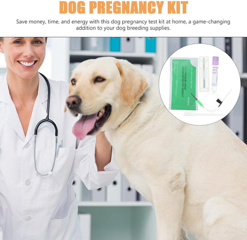 YARNOW 1 Set Dog Pregnancy Test Canine Pregnancy Test Dog Pregnancy Test Kit at Home...