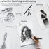 LOONENG Willow Charcoal Sticks, Natural Willow Charcoal for Artists, Beginners or Kids of All Skill Levels, Great for Sketching, Drawing and Shadi...