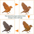Rusty Bird Silhouette with Rusty Patina Birds Decoration Lifelike Metal Birds Garden Ornaments Silhouette Simulation Bird Figurine Rustic Outdoor ...