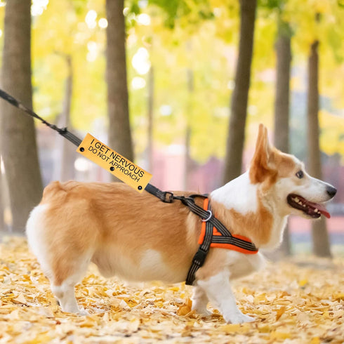 Dot Not Approach Nervous Dog Leash Sleeve Shy Rescue Leash Wrap Nervous Shy Dog Gift (I get Nervous Sleeve)...