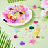 Pandahall 240pcs Acrylic Flower Beads Assorted Frosted Flower Leaf Bead Caps for DIY Bracelet Necklace Earring Jewelry Making...