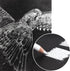 4.9x4.9 Inches Black Paper Sketchbook,30Sheets (180gsm /110lb) Premium Black Heavyweight Paper Sketchbook,Art Black Sketch Book for Pencil, Pastel...