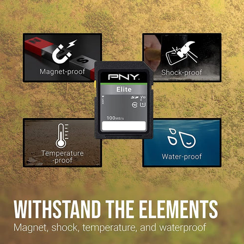 PNY 32GB Elite Class 10 U1 V10 SDHC Flash Memory Card 2-Pack - 100MB/s, Class 10, U1, V10, Full HD, UHS-I, Full Size SD...