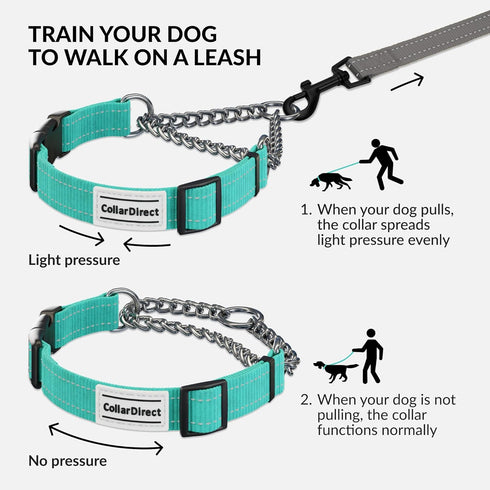 CollarDirect Martingale Dog Collar with Stainless Steel Chain and Quick Release Buckle - Reflective Collar for Large, Medium, Small Dogs - Mint Gr...