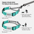 CollarDirect Martingale Dog Collar with Stainless Steel Chain and Quick Release Buckle - Reflective Collar for Large, Medium, Small Dogs - Mint Gr...