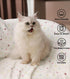 Luciphia 1 Pack 2 Pet Blankets for Dogs Cats, Fleece Print Dog Cat Blankets for Small Medium Large Puppy Kitten, Dot Grey White Medium(30x20 inch)...