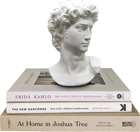 Greek Statue of David - Head Bust for Mythology and Roman Home Decor...