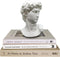 Greek Statue of David - Head Bust for Mythology and Roman Home Decor...