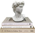 Greek Statue of David - Head Bust for Mythology and Roman Home Decor...