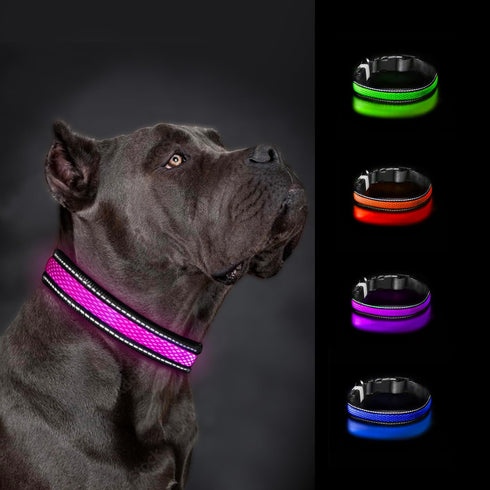 LED Dog Collar - Rechargeable USB Light Up Dog Collar - Waterproof, Multi-Mode Flashing Dog Collar (Large, Green)...