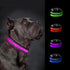 LED Dog Collar - Rechargeable USB Light Up Dog Collar - Waterproof, Multi-Mode Flashing Dog Collar (Large, Green)...