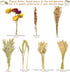 Natural Hamster Bedding Edible Flowers Herbs Sprays for Edible Grain Habitat Enclosure Decor Hamster Chews for Dwarf Syrian Gerbils Mice Mouse Rat...