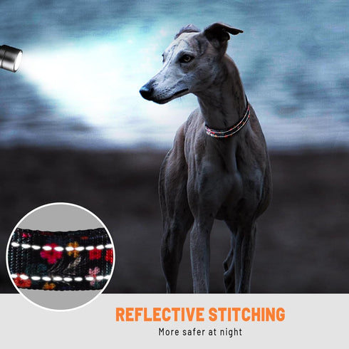 Dog Collar Cute Flower, Reflective Adjustable Basic Collars for Girl Female Small Medium Large Dogs Walking Running(Large,Black)...