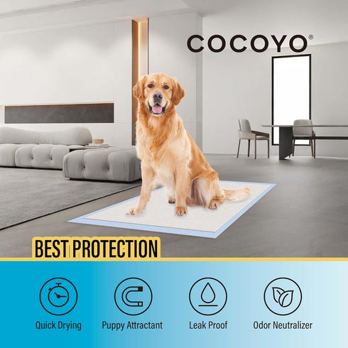 COCOYO Best Value Training Pads 30 Count | Dog Pee Pads | Super Absorbent Puppy Pads...
