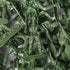 PROLOSO Toy Soliders Green Army Men Action Figures Plastic Army Men Sets Military Toys Various Poses Bulk Pack of 144...