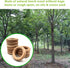 Natural Beech Wood Rings, 10 Pcs Unfinished 5cm Solid Wooden Rings Circles Without Paint for Craft, Connectors Jewelry Making...