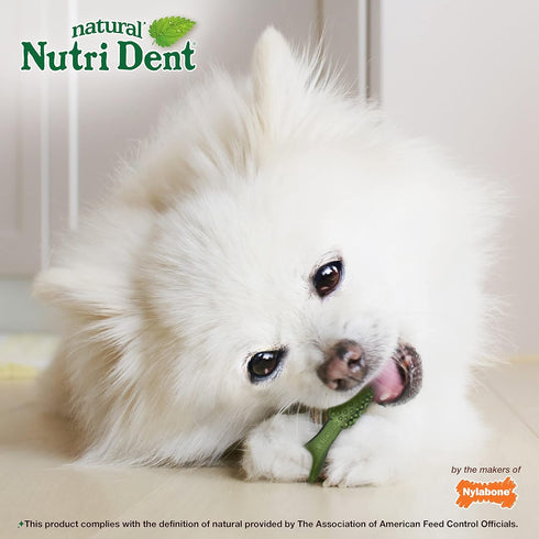 Nylabone Nutri Dent Dog Dental Treats - Natural Dog Teeth Cleaning & Breath Freshener - Dental Treats for Dogs - Fresh Breath Flavor, Mini (78 Cou...