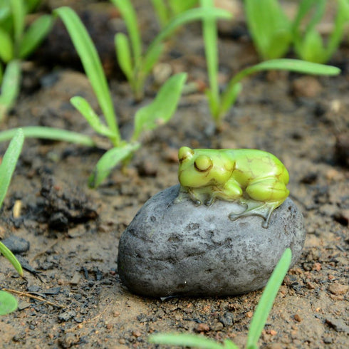 Top Collection Miniature Fairy Garden and Terrarium Statue, Sleeping Cute Frog on Stone...