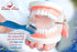 Dentu-Care & Polident 84 Tablets bundle with Dentu-Care Denture Brush for Maintaining Good Oral Care for Full Partial Dentures...