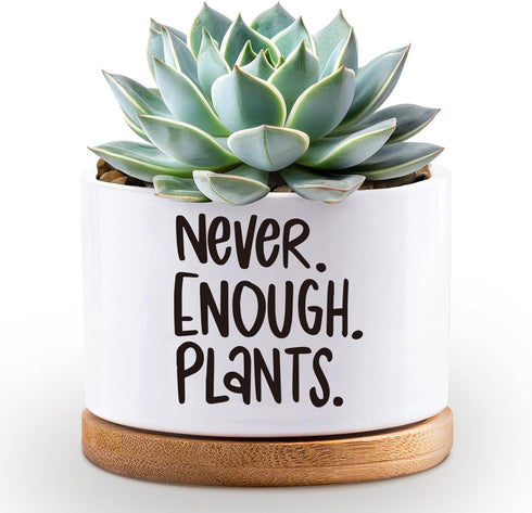 Succulent Planter Pots, Cactus Flower Pot with Drainage Tray, Plant Lovers Pot, Small Succulent Pots for Indoor Garden, White Mini Ceramic Plant P...