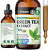 Green Tea Extract Tincture - Organic Green Tea Supplements with EGCG - Antioxidant Source - Immune Support Supplement - Alcohol and Sugar Free - V...