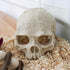 Snake Hideout, Reptile Aquarium Skull Decor, Resin Skeleton Head Fish Hide, Tank Terrarium Accessories, Reptile Hides and Caves for Fish Bearded D...