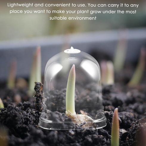 DOITOOL 10pcs Flower Pot Seedling Cover Mini Greenhouse Cover Plant Protect Cover Gardening Tool Plant Cover Cloche Plastic Cover Plant Nursery Ho...