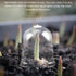 DOITOOL 10pcs Flower Pot Seedling Cover Mini Greenhouse Cover Plant Protect Cover Gardening Tool Plant Cover Cloche Plastic Cover Plant Nursery Ho...