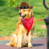Pet Cowboy Hat Bandana Costume, Funny Dog Cat Costume Accessories Set West Cowboy Accessories for Mexican Birthday and Holiday Party Daily Wearing...