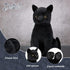 13 Inch Black Cat Stuffed Animal Realistic Black Cat Plush Toy Soft Kitten Stuffed Animal Black Cat Plushie for Home Decor Animal Collection PET P...