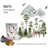Chaga Tea - 100% Wild Chaga Mushrooms with Bergenia - 30 Unbleached Tea Bags - from Wild Siberian Lake - Hand-Picked by Baikal Tea...