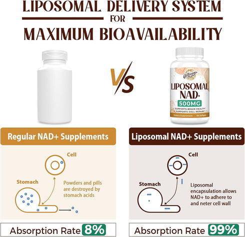 Liposomal NAD+ 500 MG Supplement, True NAD plus Supplement, Superior Absorption, Boost NAD+ More Efficient than Nicotinamide Riboside for Cellular...