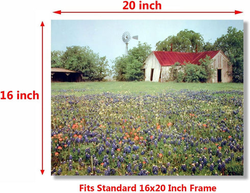 Old Barn & Flowers Field Scenery Nature Landscape Wall Decor Art Print Poster (16x20)...