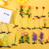 30 Pcs Bean Sprout Hair Clips Mixed Style Plant Hairpins Flower Plant Hair Clip Little Grass Barrette Butterfly Headwear Hair Accessories for Wome...