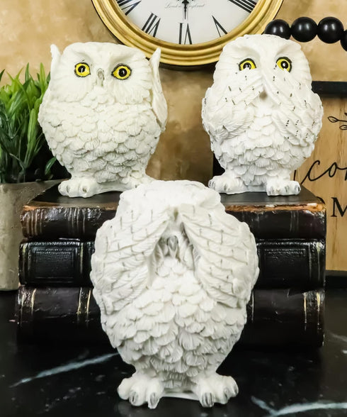 Ebros See Hear Speak No Evil Fat Baby White Owls Figurines Set of 3 Decor Wisdom of The Woods Nocturnal Snow Owl Bird Themed Chibi Owlets Collecti...