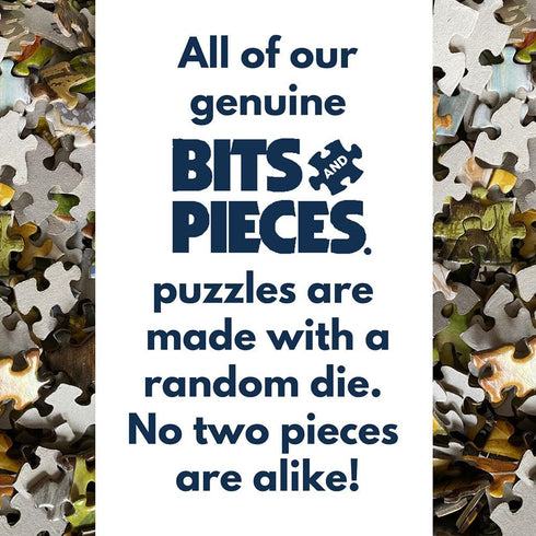 Bits and Pieces - 50 Piece Jigsaw Puzzle for Seniors - 15" x 19" - Birds on The Porch Steps - 50 pc Large Lettered Pieces Colorful Scenic Jigsaw...