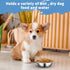 ChengFu Small Dog Food Bowls,Little DogFood Bowl,Puppy Dog Food Bowl, Made of Stainless Steel,can be Filled with Water or Dog Food Two Packs...