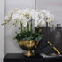 FagusHome 6 Pcs Artificial Phalaenopsis Flowers with 6 Bundles Leaves Artificial Orchid Flowers Stem Plants for Home Décor...