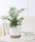 kubvici 8'' Plastic Flower Planter Pots Set of 2 Indoor Outdoor Planters with Drainage Saucer for Garden Home (Green & White, 8 inch)...