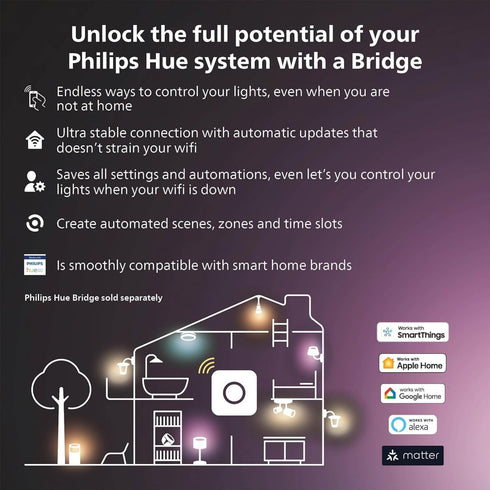 Philips Hue Secure Camera Anti-Drop Cable, Silver - 1 Pack - Made for Outdoor Use - Attaches to Philips Hue Low-Volt Power Supply Unit...